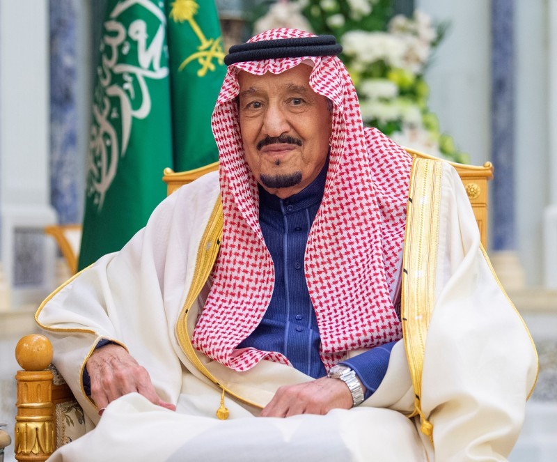 مملكة الانسانية