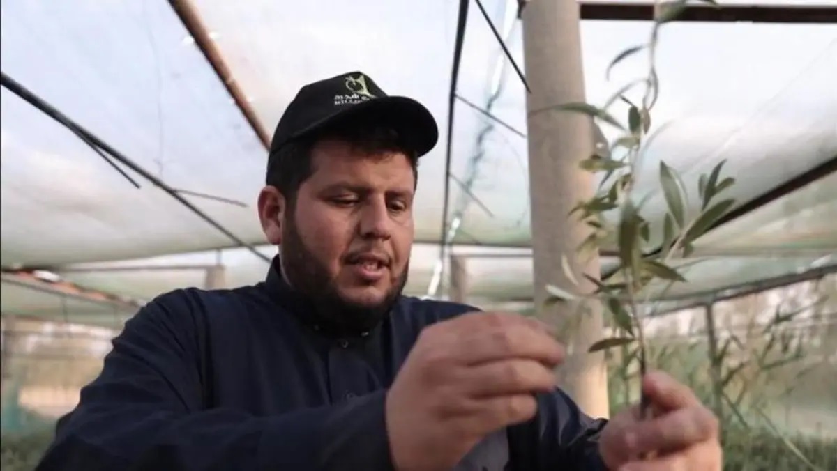 حلم المليون في قطعة أرض واحدة